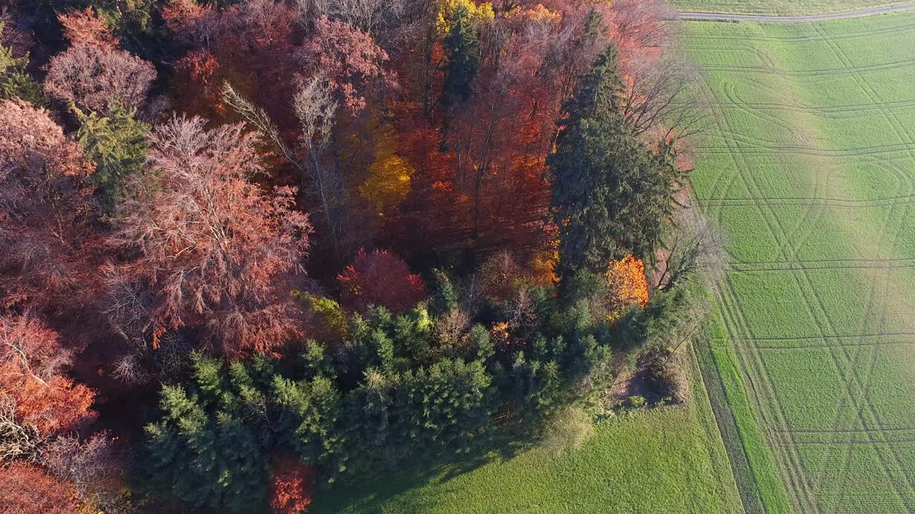 A Drone film from above.
Fantastic colourful autumn forrest.