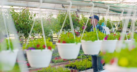 Gardener-Watering-Flowers-On-Farm-6