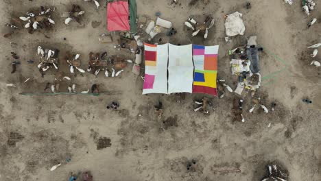 Aerial-Birds-Eye-View-Of-Northern-Cattle-Market-In-Karachi