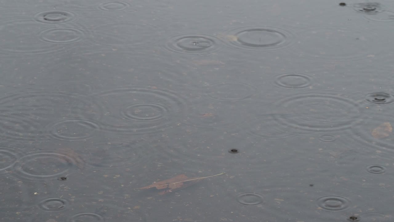 아스팔트 도로의 웅이 표면에 비 서클