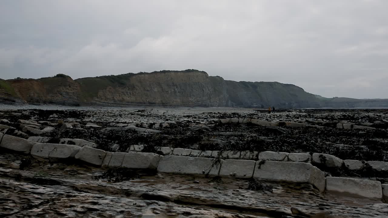 동쪽 quantoxhead 해변의 아름다운 비디오
