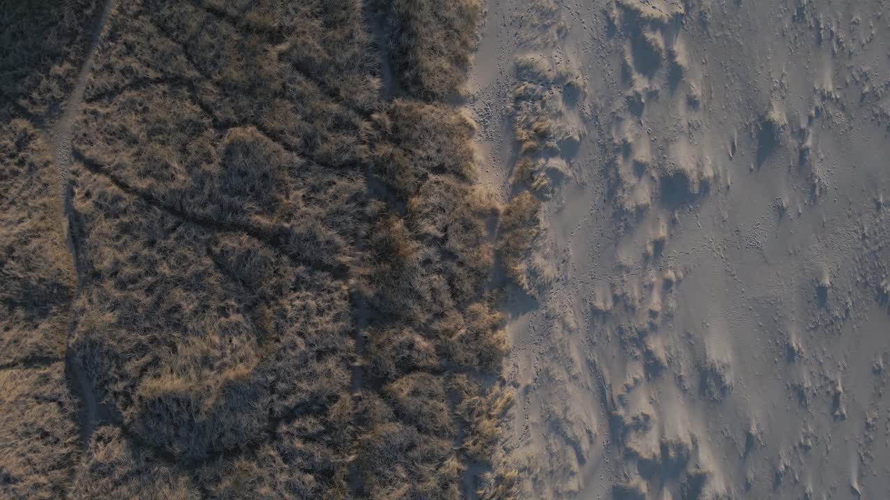 dunas cubiertas de hierba y playa de arena, toma aérea de arriba hacia abajo
