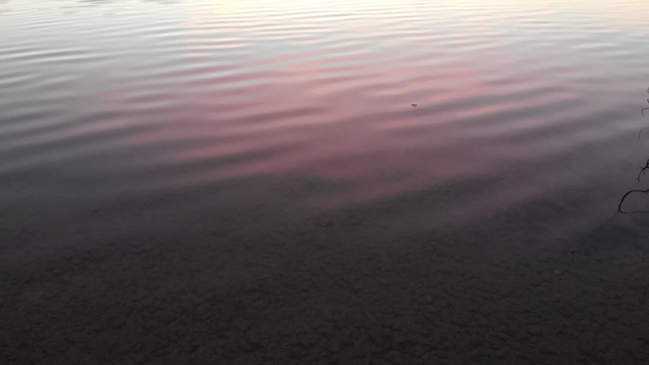 Staffelsee lake in Germany Bavaria recorded in the afternoon twilight flying over the lake with a DJI drone in 4k with ND filters