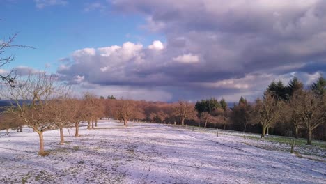 elevación aérea de drones sobre el bosque de heidelberg en invierno alemania