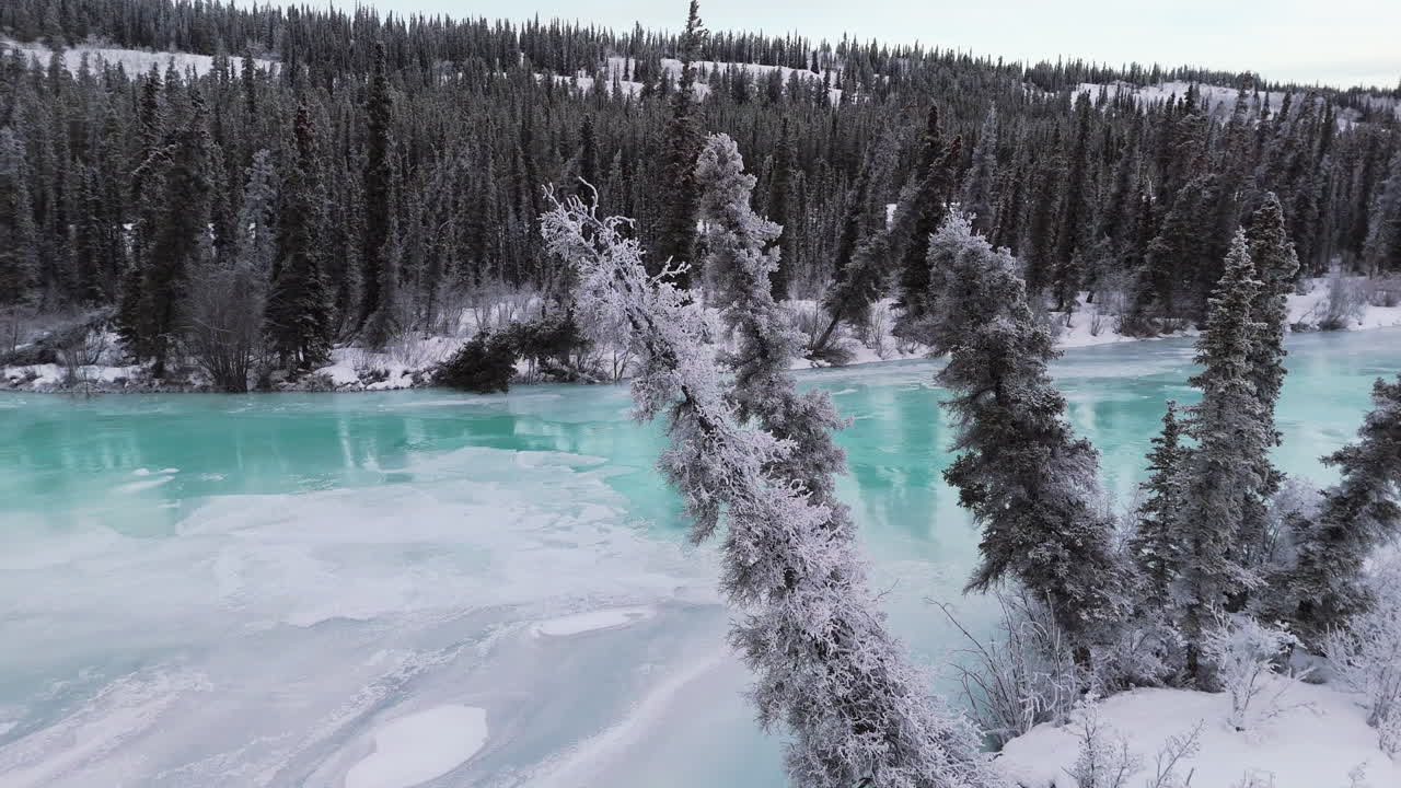 A close-up panning reveal glides over the frozen Takhini River and Kusawa Lake, lined with snow-covered fir trees. It captures a harsh, inhospitable Yukon winter landscape