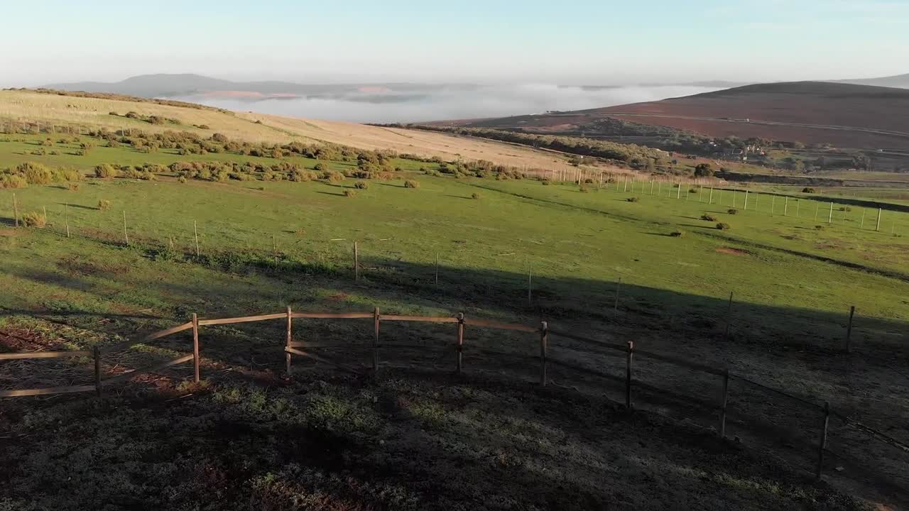 disparo de avión no tripulado de campo verde rodante y campos agrícolas en un día soleado