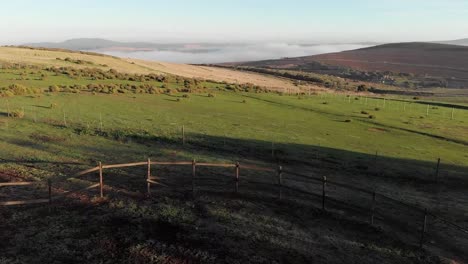 disparo de avión no tripulado de campo verde rodante y campos agrícolas en un día soleado