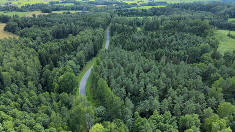 path to lidzbark forest woods amidst lush greenery