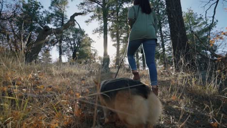 Mujer-Y-Su-Corgi-Caminan-Por-El-Bosque-De-Otoño