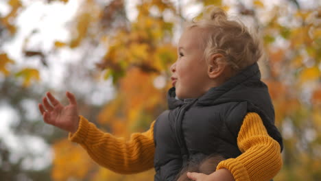 happy childhood little boy and nature at autumn day child is stretching hand to branch of tree with yellow foliage having fun in park or forest