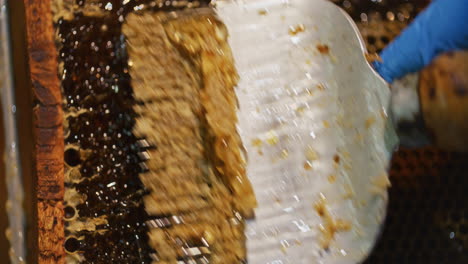 un apicultor quita la cera del panal