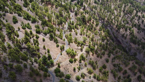 Winding-road-from-an-aerial-view-in-a-rocky-landscape-with-bushes-on-a-sunny-and-calm-day,-Hierro-island,-Canary,-Spain