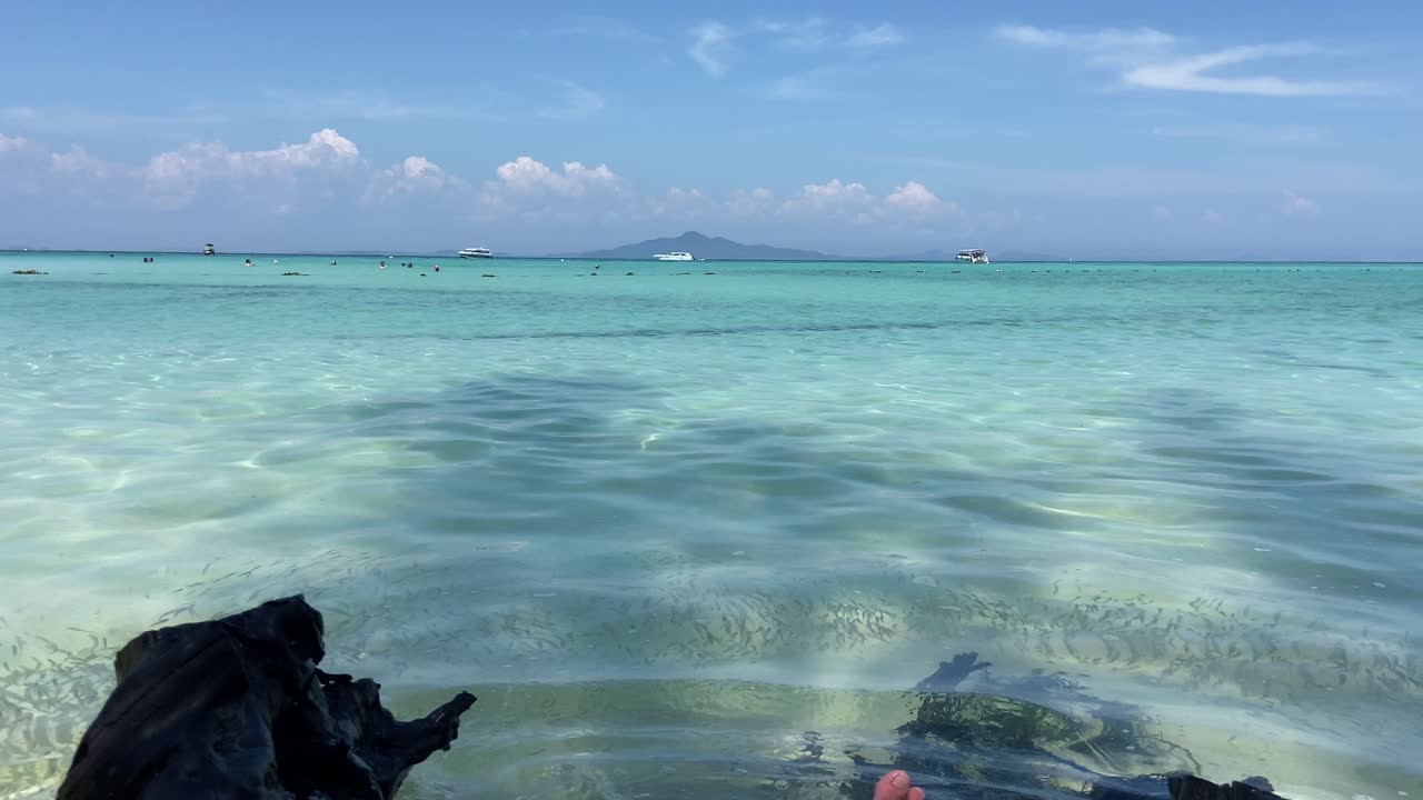 파라다이스 열대 섬의 푸른 바물에서 휴식을 취합니다.