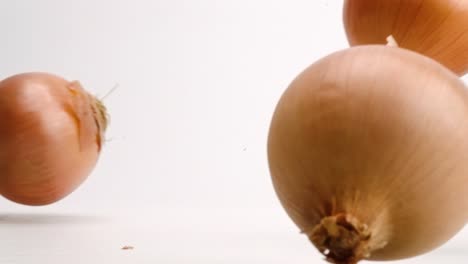 whole white and yellow sweet onions with skin on falling and bouncing on white table top in slow motion