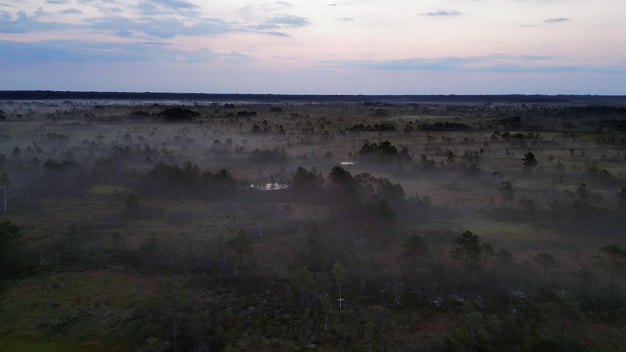 Sorvolo aereo al crepuscolo di una vasta torbiera nebbiosa nella foresta boreale settentrionale