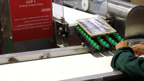 dates factory worker manually reorient products on conveyor belt