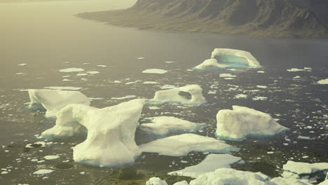 icebergs float in calm waters near land during quiet afternoon hours