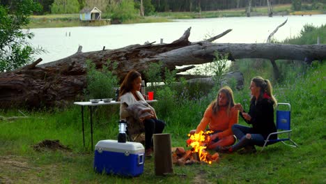 amigos interactuando entre sí cerca del fuego de campamento 4k