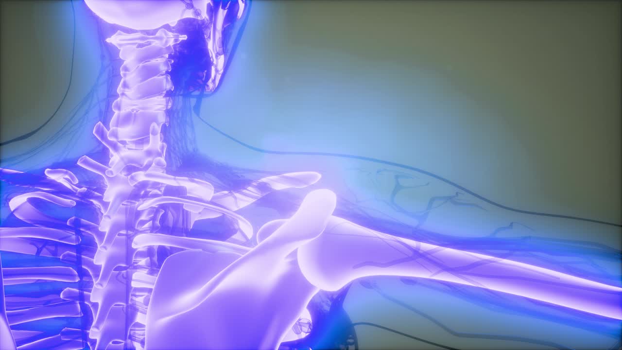 눈에 띄는  ⁇ 가 있는 투명한 인간 몸