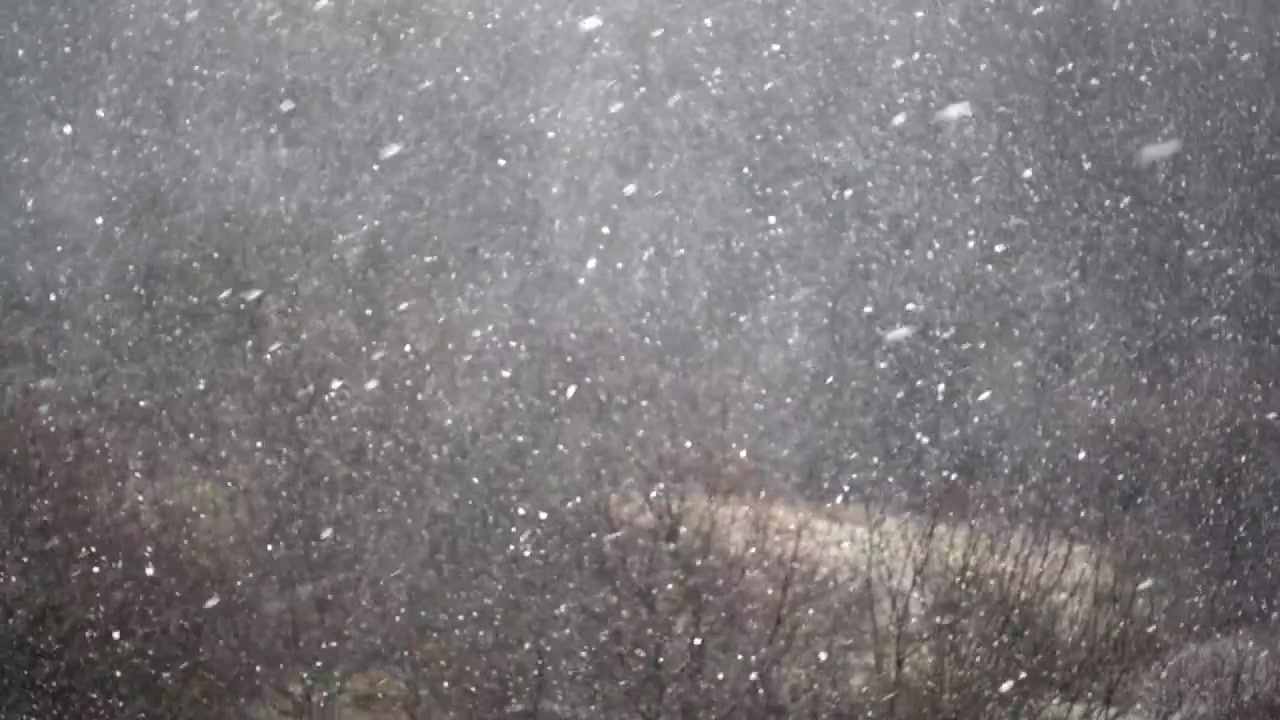 Blizzard in the winter. Slow motion.