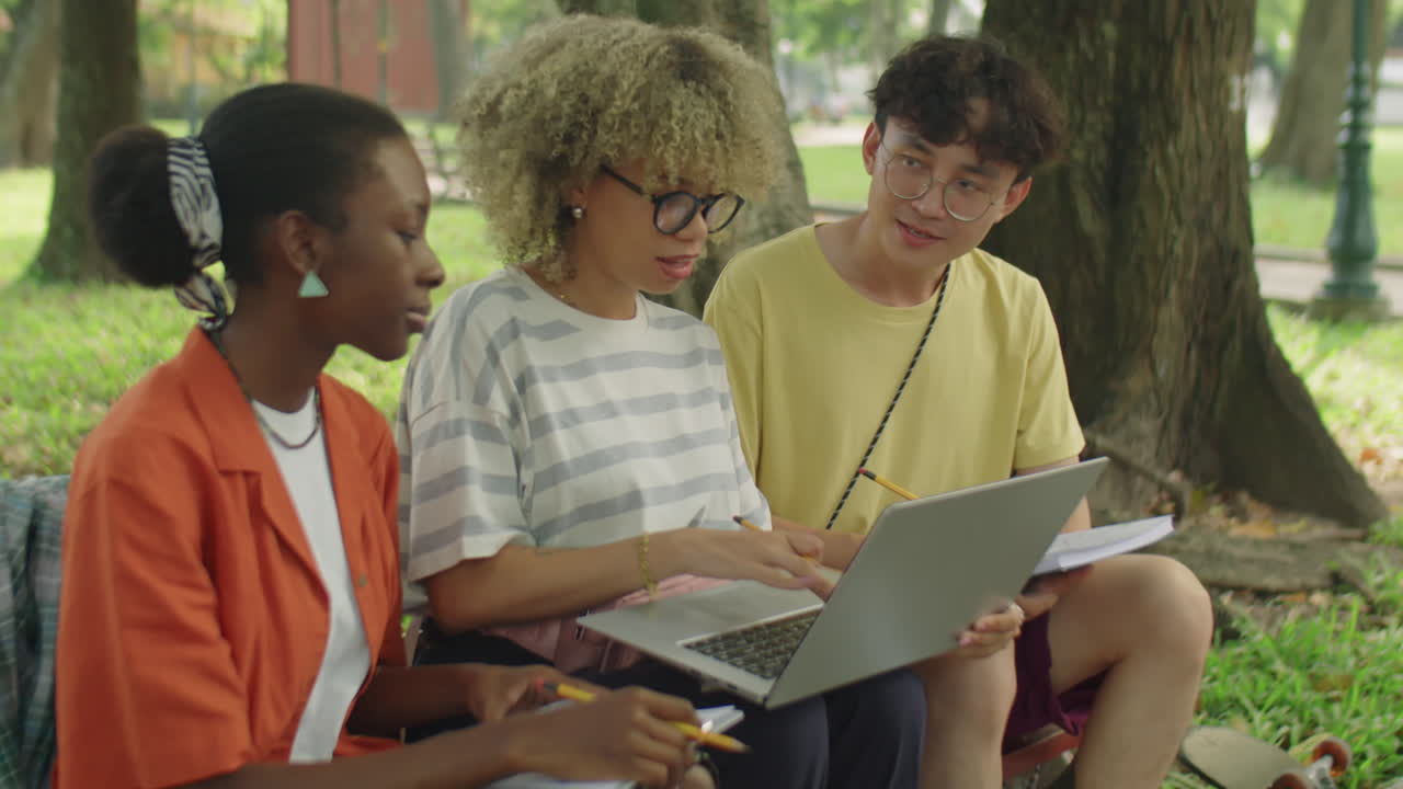 College Group Mates Doing Homework in Park