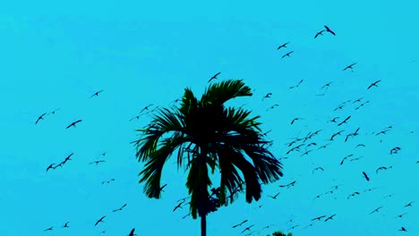 migratory birds soaring past a palm tree, silhouetted against the backdrop of a clear blue sky - low angle shot