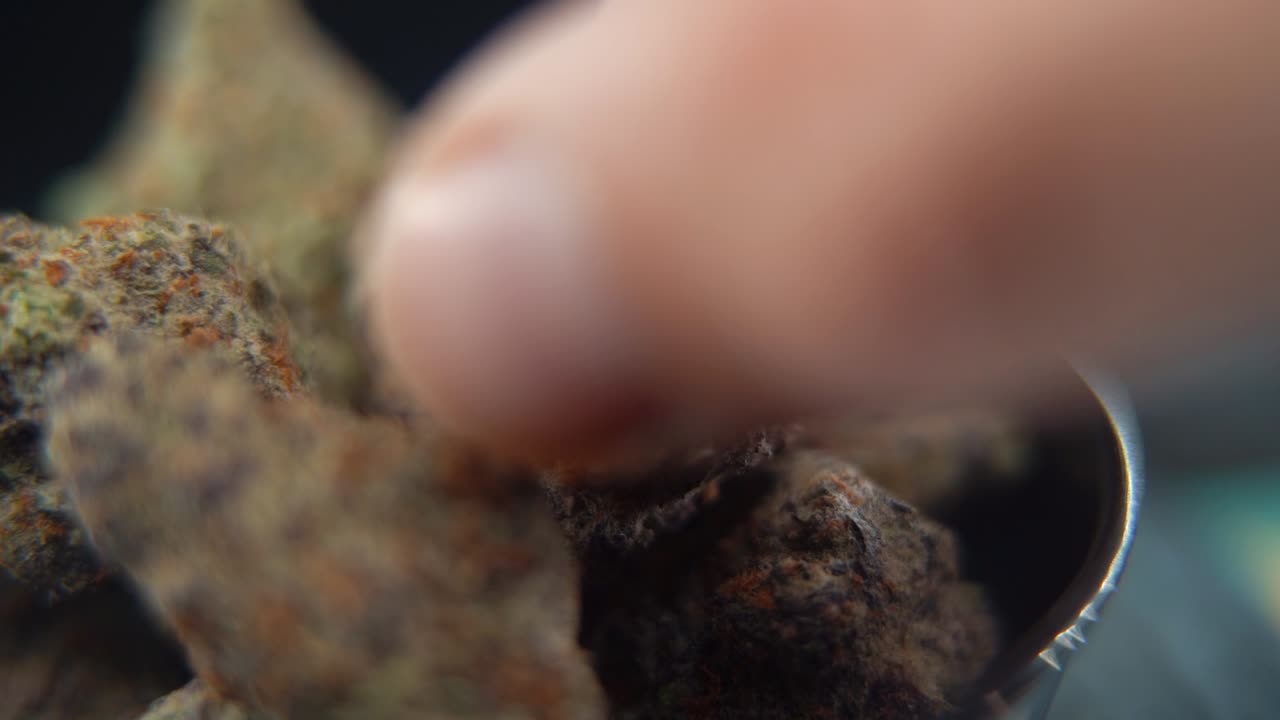 Man examining high-quality cannabis buds in a macro close-up, hands gently revealing rich texture and crystal trichomes for a clean, commercial stock usage, slow motion 120 fps