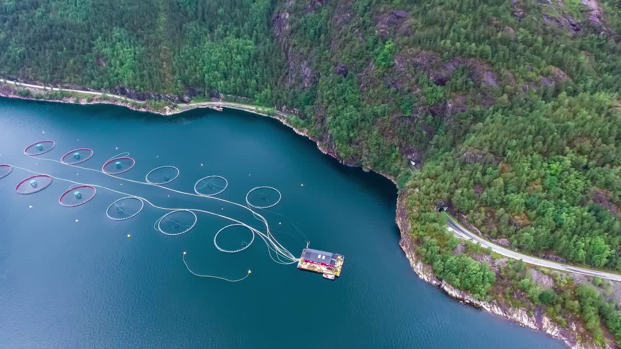 노르웨이에서 연어  ⁇ 시를 하는 공중 촬영