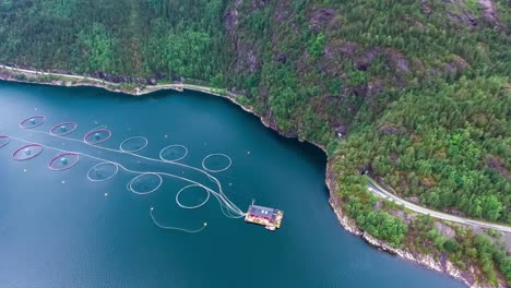 Luftaufnahmen-Von-Lachsfarmen-In-Norwegen