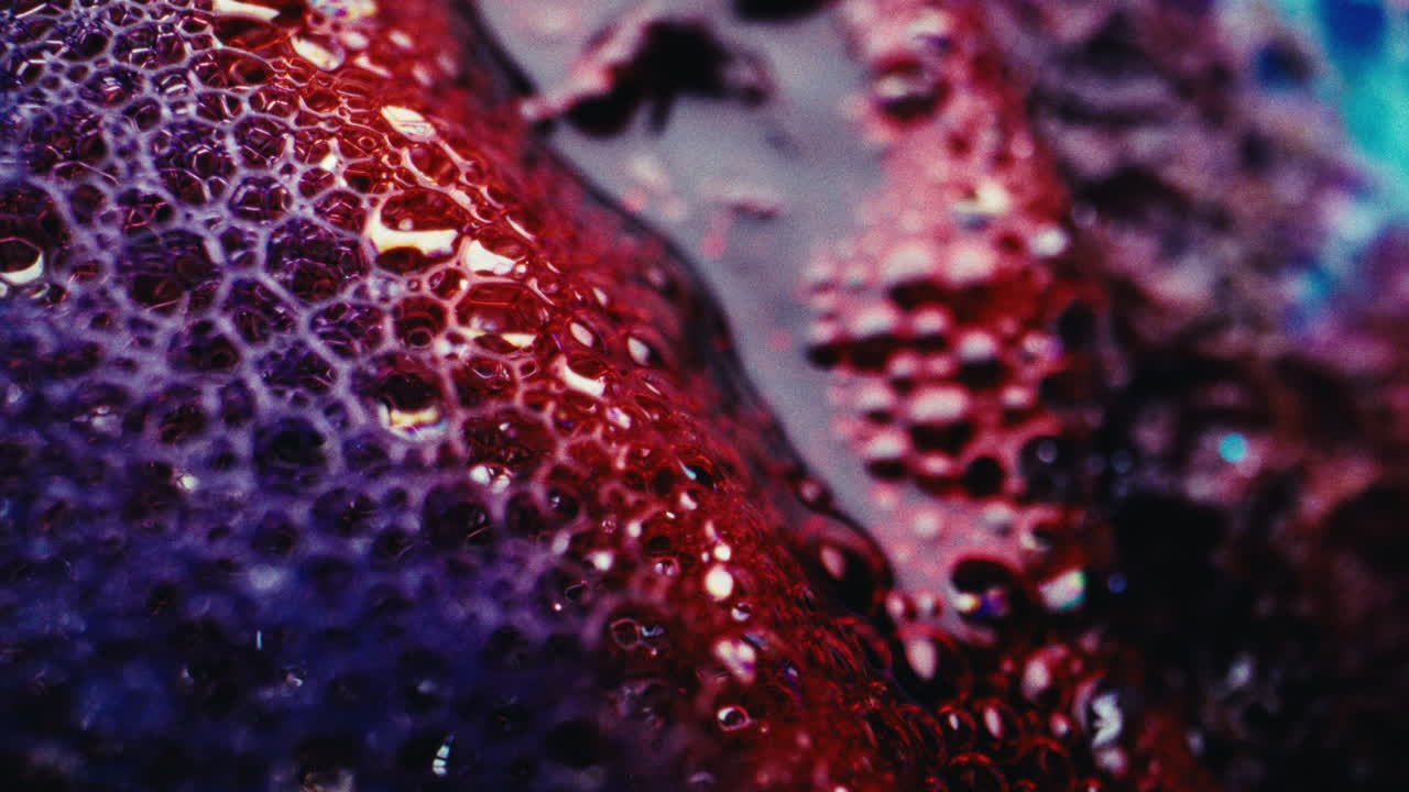 Abstract Macro Photography of Red and Purple Liquid with Bubbles