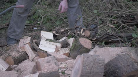 Man with axe chopping log 4K