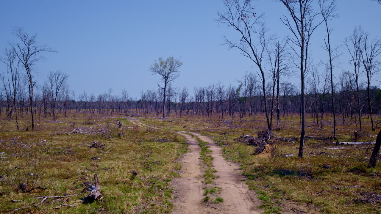visuales de drones de un bosque carbonizado que se extiende a lo largo de kilómetros.