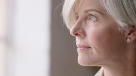 beautiful middle aged business woman contemplating retirement enjoying peaceful view looking out window healthy mature female relaxing at home thinking successful lifestyle milestone