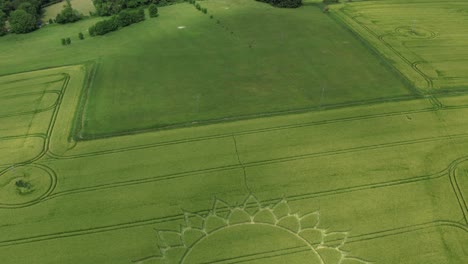 drone revealed crop circle flower design at the green fields near potterne, wiltshire, england