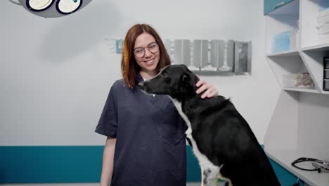 Portrait-of-a-happy-brunette-veterinarian-girl-in-a-blue-uniform-with-a-black-dog-during-an-examination-at-a-veterinary-clinic