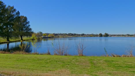 una hermosa vista al lago en un parque con algunos árboles cielo azul y hierba verde