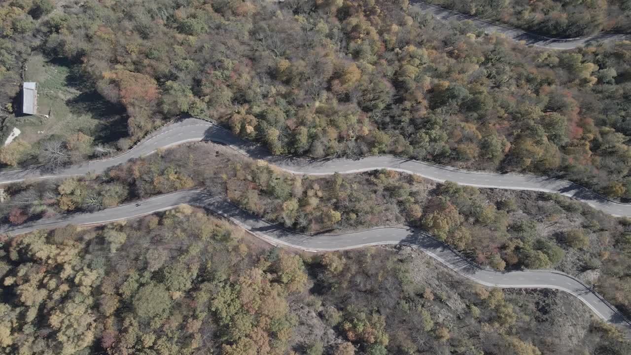 vista cenital desde un camino forestal