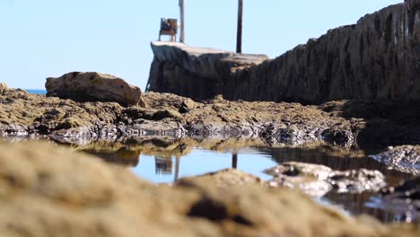 tide-pools-at-low-tide