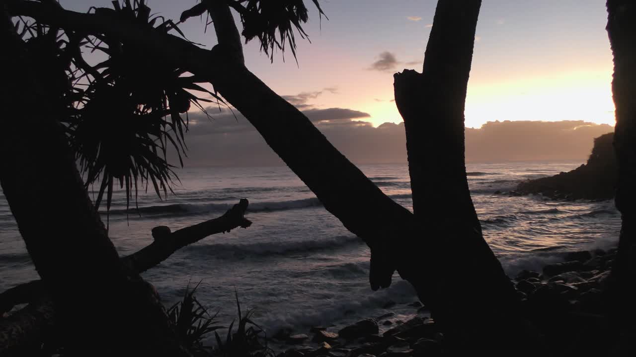 amanecer en la playa con silueta de árbol y olas tranquilas, tiro estático