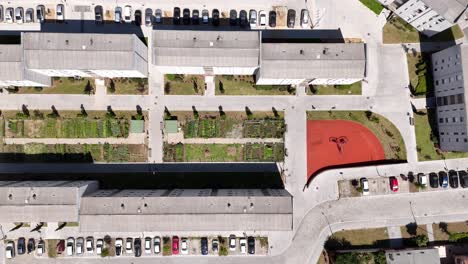 building blocks and urban gardening lots