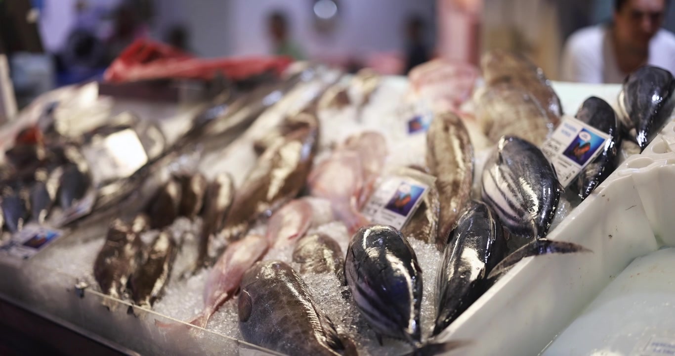 Fresh Fish and Seafood Displayed on Ice at a Market Stall