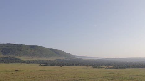 Luftaufnahmen-Der-Masai-Mara-Savanne