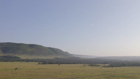 imágenes aéreas de la sabana de masai mara