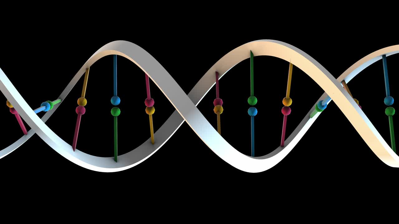 dna-평면 평평한 색상