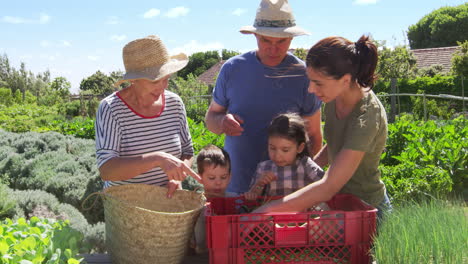 grandparents with adult daughter and grandchildren on allotment