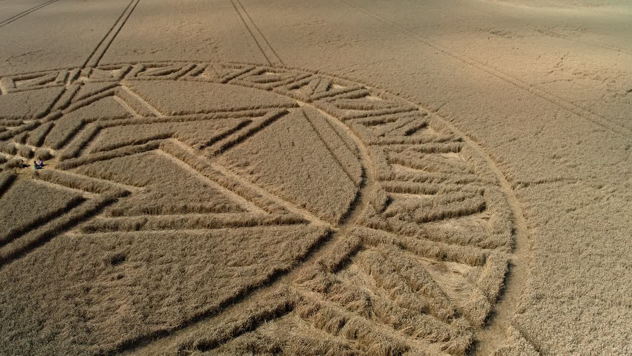 Complex West Meon golden barley field crop circle aerial view geometric overlapping esoteric design low flyover