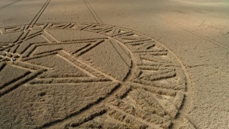 complex west meon golden barley field crop circle aerial view geometric overlapping esoteric design low flyover