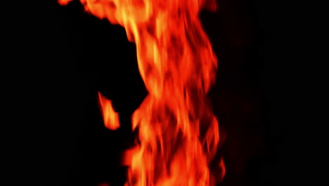 beautiful fire flame going up. burning flame isolated on the black backdrop.