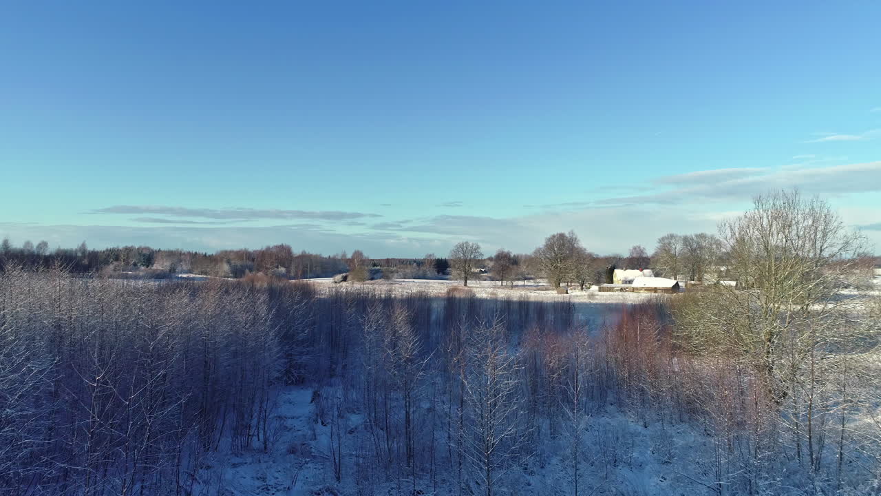 유럽의 겨울 풍경에서 작은 얼어붙은 나무 위로 드론 돌리