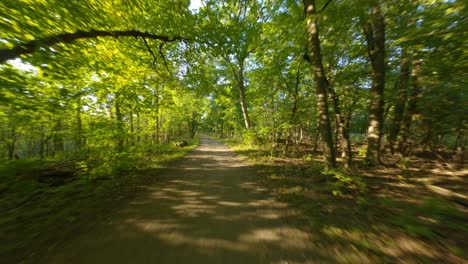 fast-dirt-gravel-bike-ride-run-under-tree